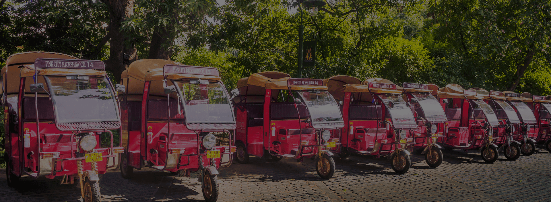 Pink City Rickshaw